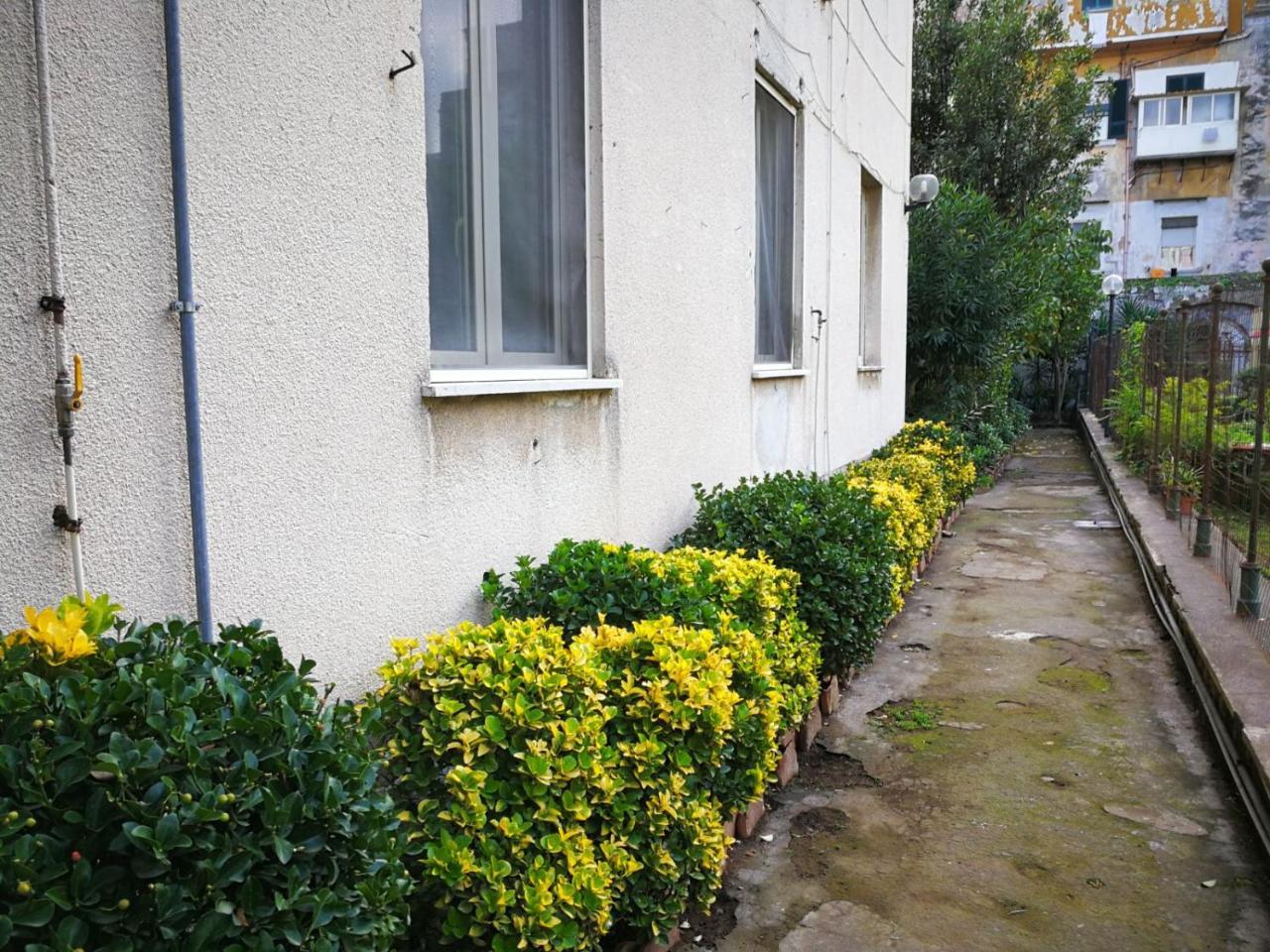 Il Giardino Di Vico Neve Bed & Breakfast Naples Exterior photo